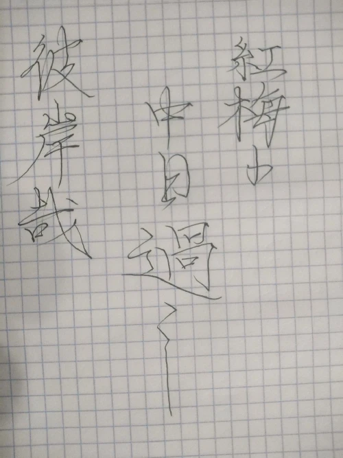 plewgs's submission