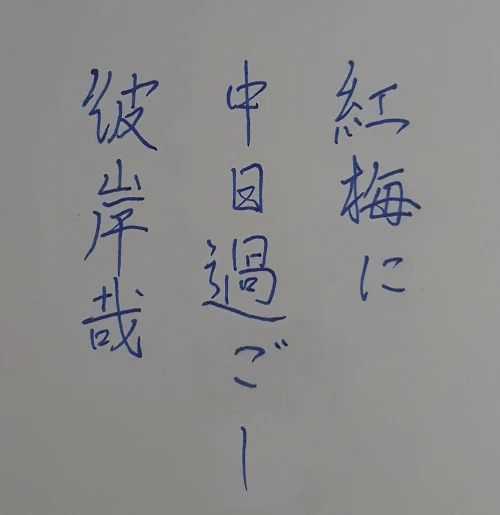 naginoko4's submission