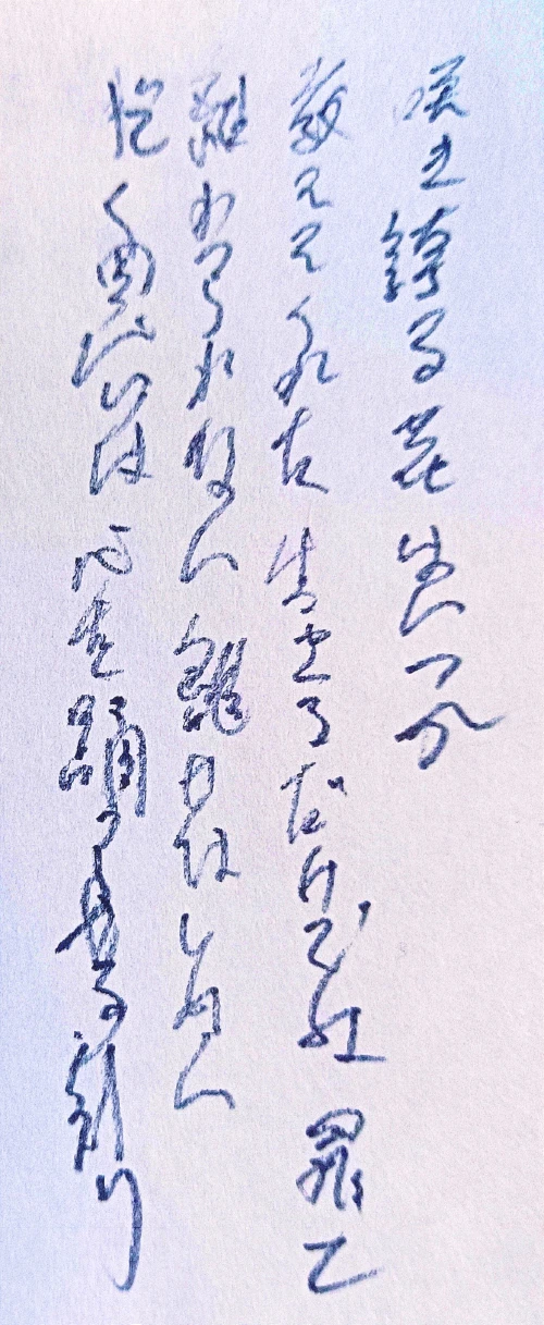 a.oi's submission