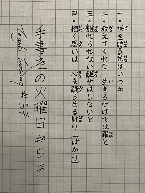 「Assholetep」#2116's submission