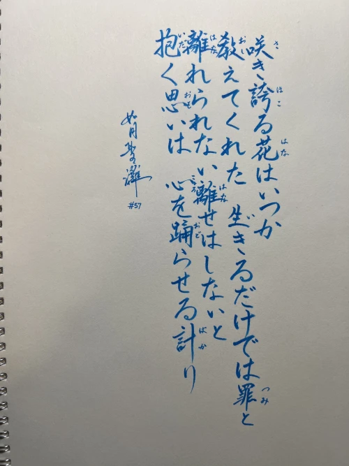 ayamisensei's submission
