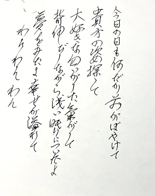 drago33's submission