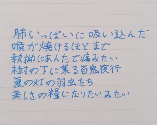 toki74's submission