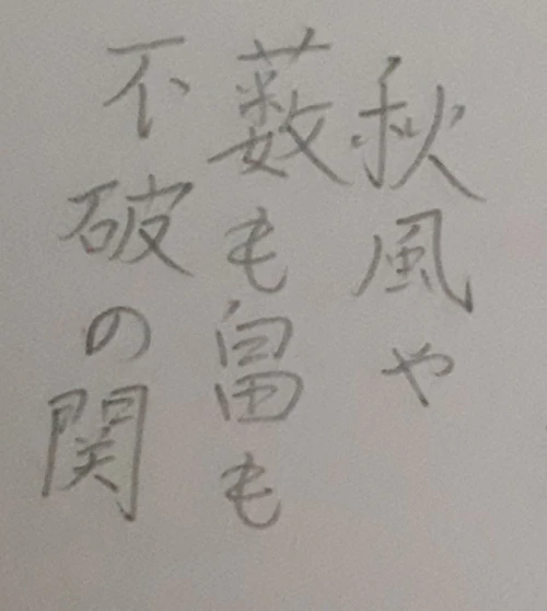 naginoko4's submission