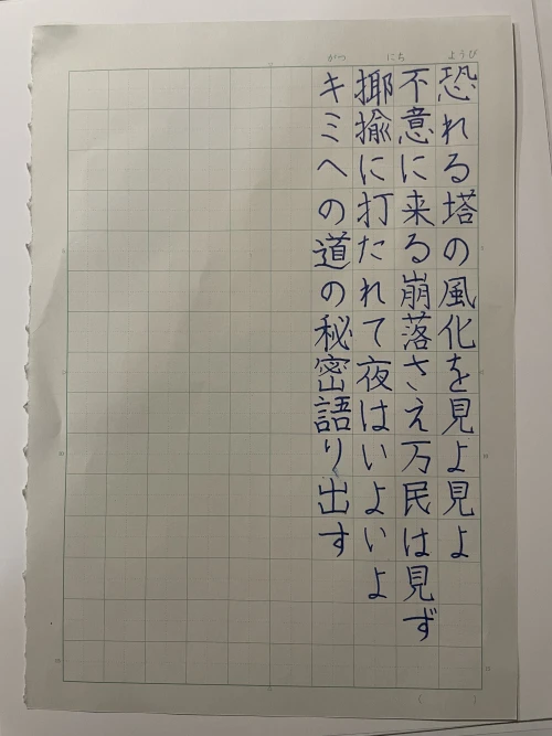 n1passer's submission