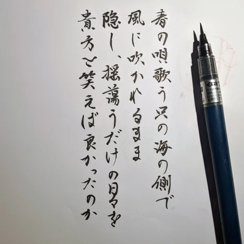 wrongwong's submission