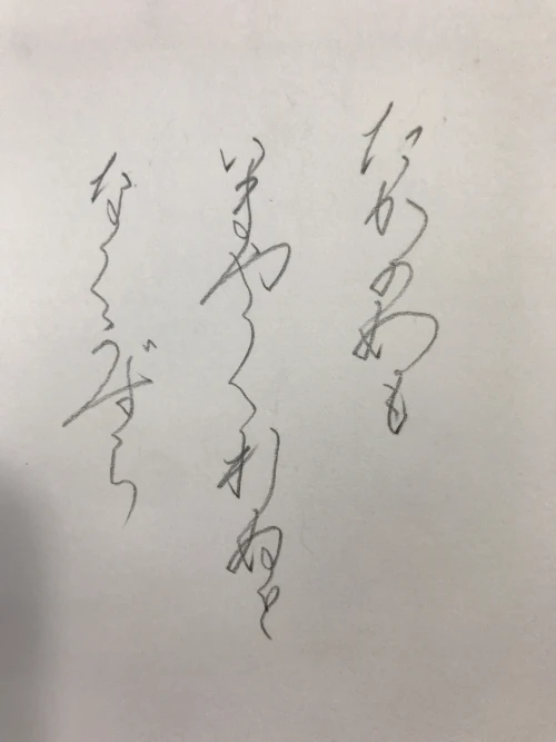 drago33's submission