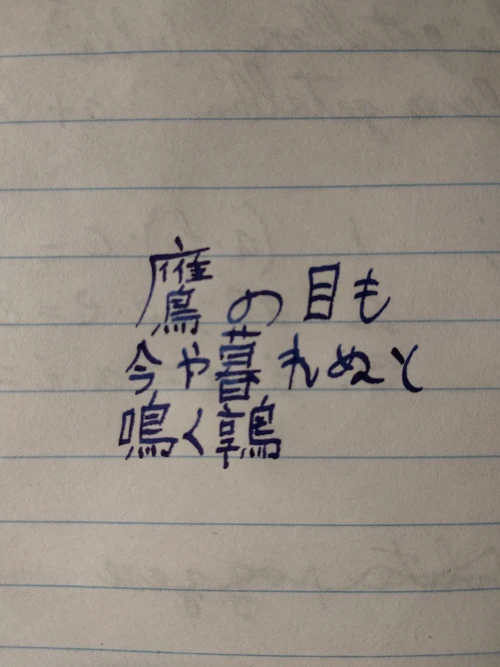 .rekel's submission