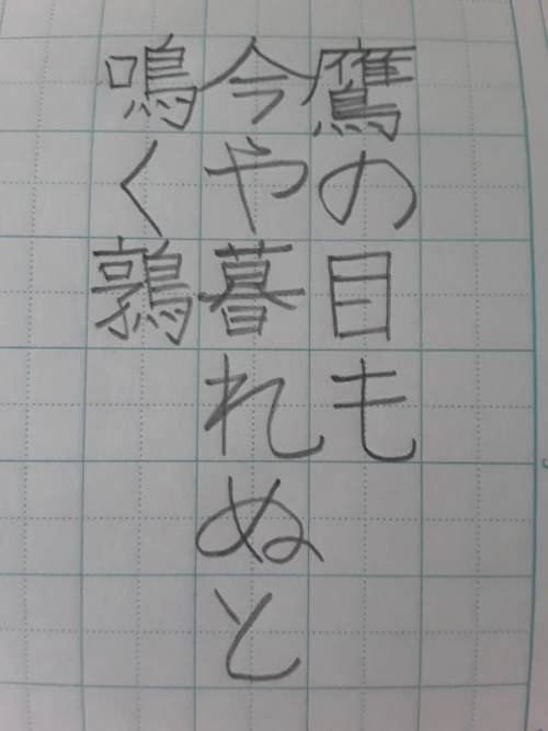 elnudev's submission