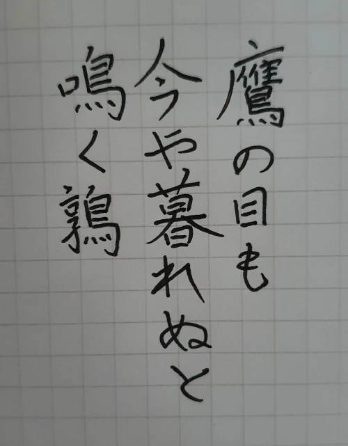 naginoko4's submission