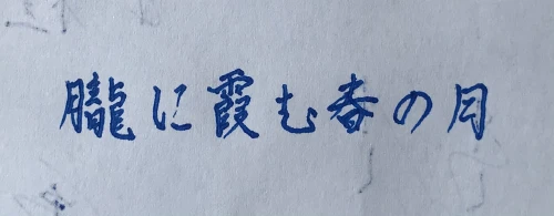 tunamayo#1300's submission