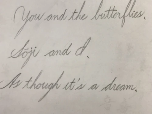 drago33's submission