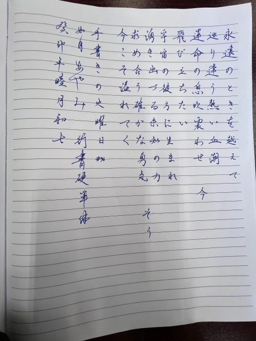 ayamisensei's submission