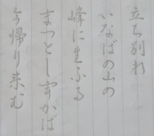 mochamoko's submission