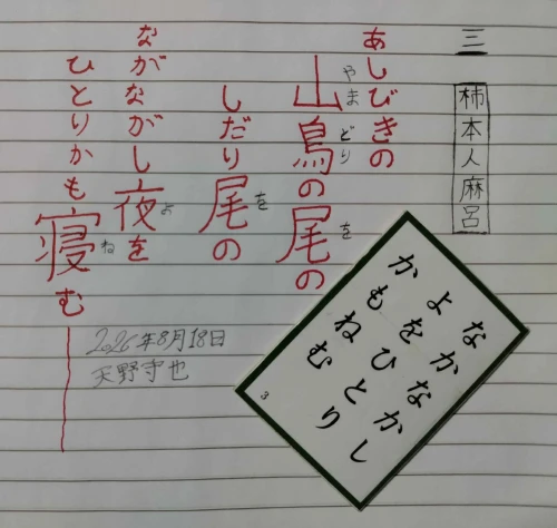 amanomoriya's submission