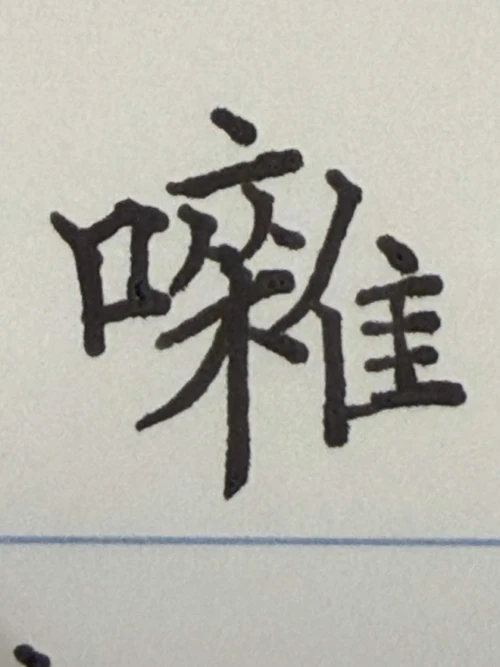 n1passer's submission