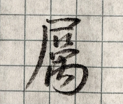 .neckpain's submission