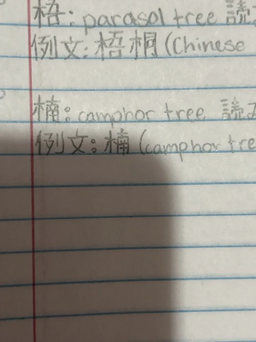 kanade_yoisaki.mp3's submission
