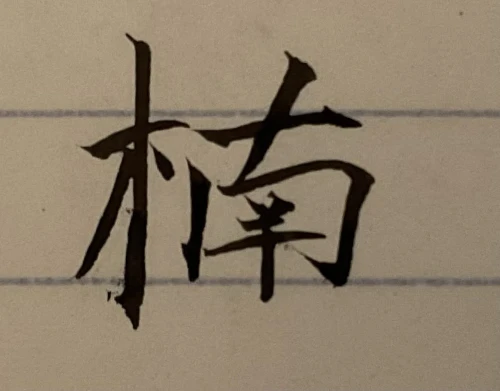 nyvonix's submission