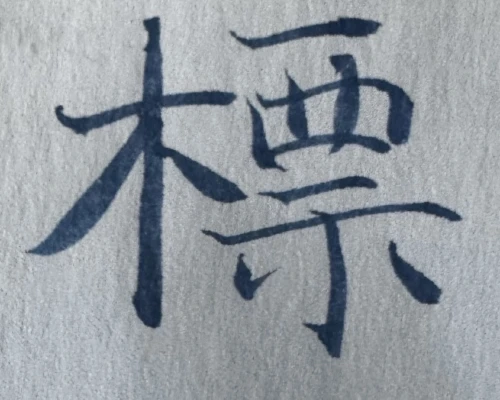 saki2529's submission