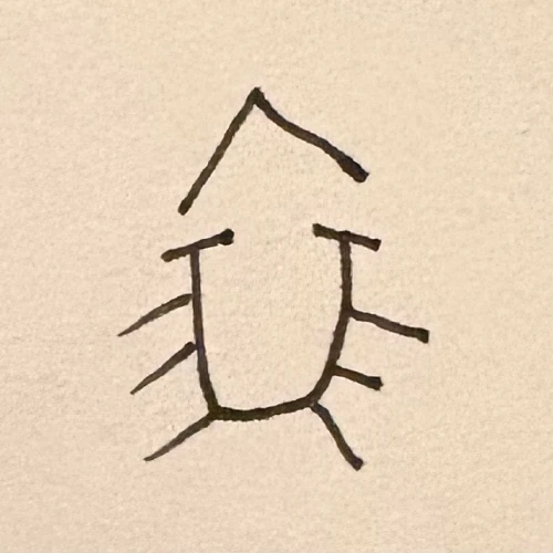 pukekokiwi's submission