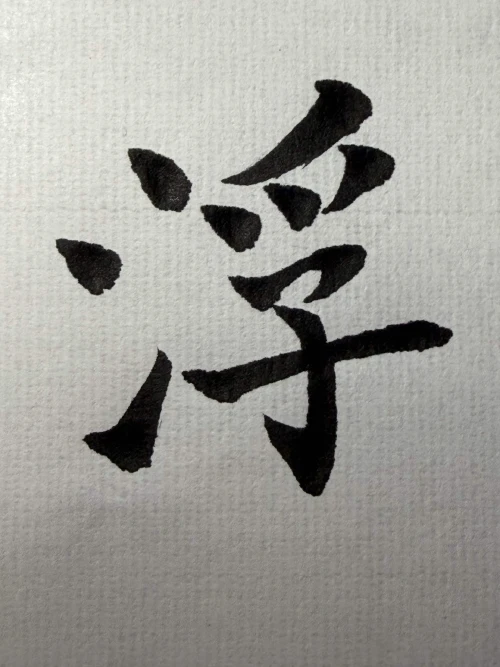 n1passer's submission