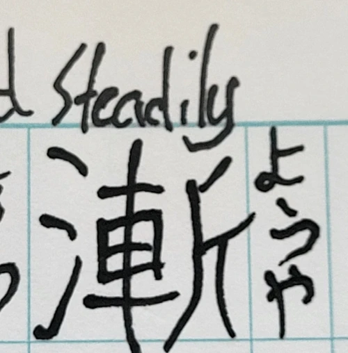 snlop's submission
