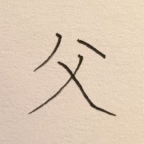 pukekokiwi's submission