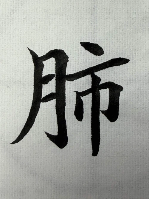 n1passer's submission