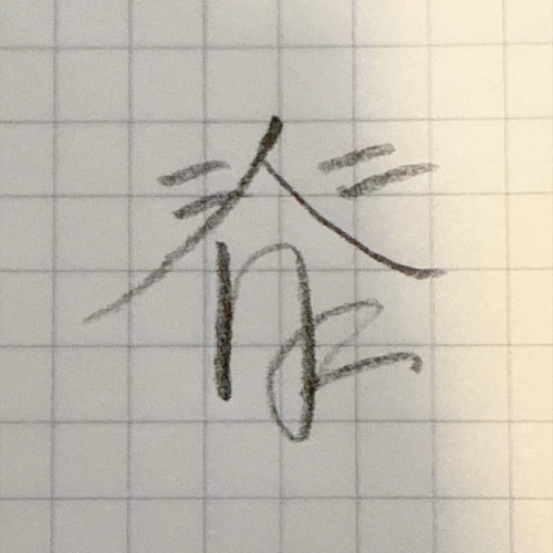 skye.9's submission