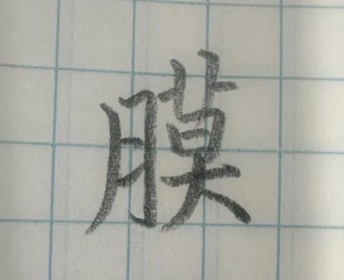 .neckpain's submission